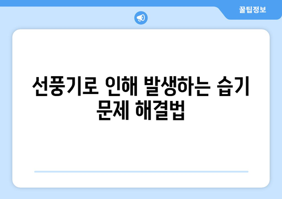 선풍기 습기 제거 기능: 곰팡이와 냄새 방지를 위한 중요한 고려 사항