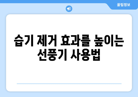 써큘레이터 대 선풍기: 습기 제거 효과 비교 및 사용 시 고려 사항