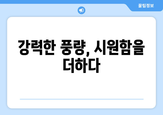 무선 선풍기 써큘레이터 성능 분석: 효율성과 편의성 평가