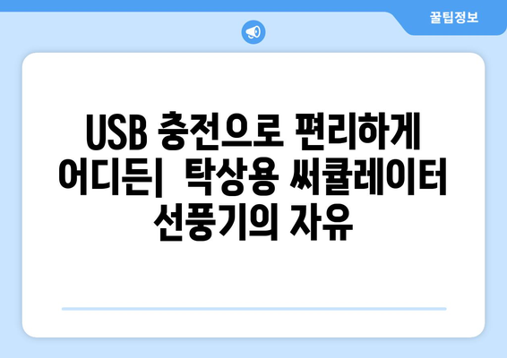 USB 충전이 가능한 BLDC 모터 탁상용 써큘레이터 선풍기