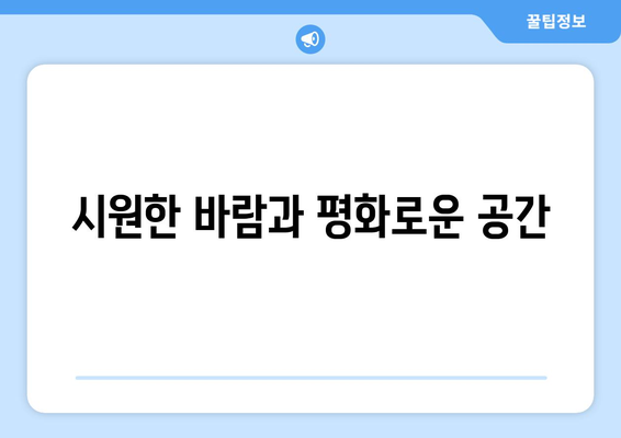 딥센 C6 무소음 선풍기 후기: 시원함과 고요함의 완벽한 조화