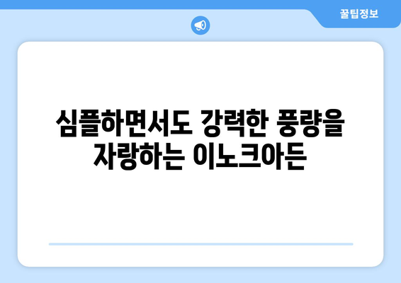 날개 없는 선풍기 이노크아든: 독특한 디자인과 성능