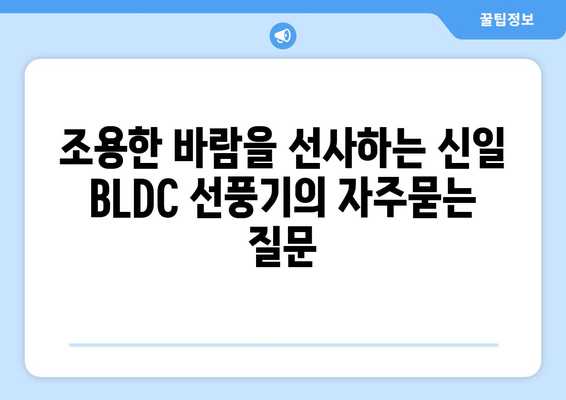 조용한 바람을 선사하는 신일 BLDC 선풍기