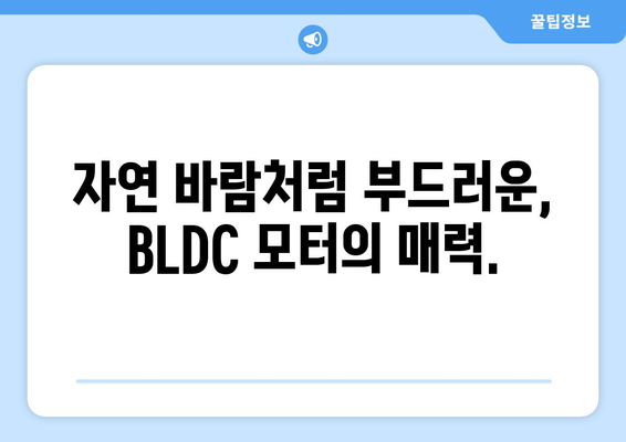 조용한 바람을 선사하는 신일 BLDC 선풍기