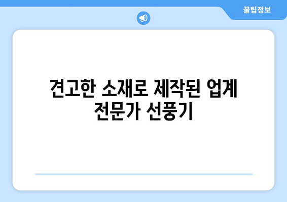 업계 전문가 선풍기: 견고성과 내구성의 결합