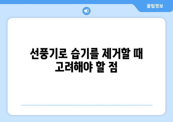 써큘레이터 대 선풍기: 습기 제거 효과 비교 및 사용 시 고려 사항