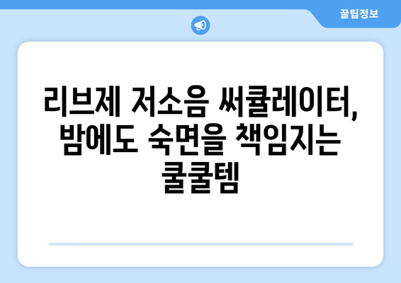 리브제 저소음 써큘레이터 선풍기 사용기