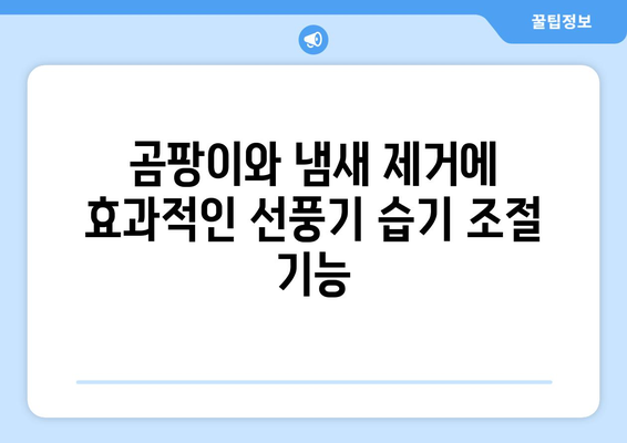 선풍기 습기 제거 기능: 곰팡이와 냄새 방지를 위한 중요한 고려 사항