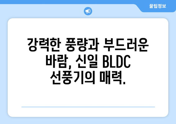 신일 BLDC 선풍기: 조용함과 시원함을 선사하는 초미풍 선풍기