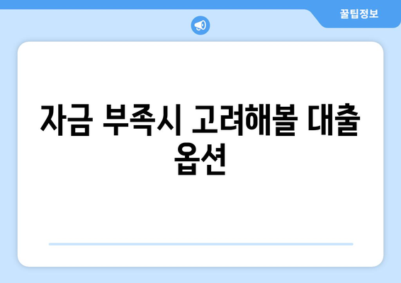 대출과 긴급 자금: 위기 시 대출 활용법