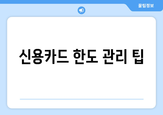 대출과 신용카드 대출: 적절한 사용 방법