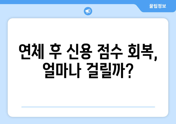 대출 연체 시 신용 점수에 미치는 영향