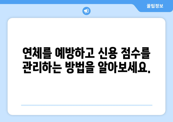 대출 연체가 신용 점수에 미치는 장기적 영향