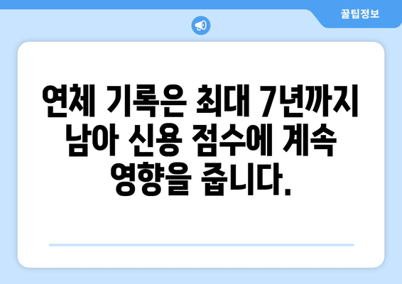 대출 연체가 신용 점수에 미치는 장기적 영향